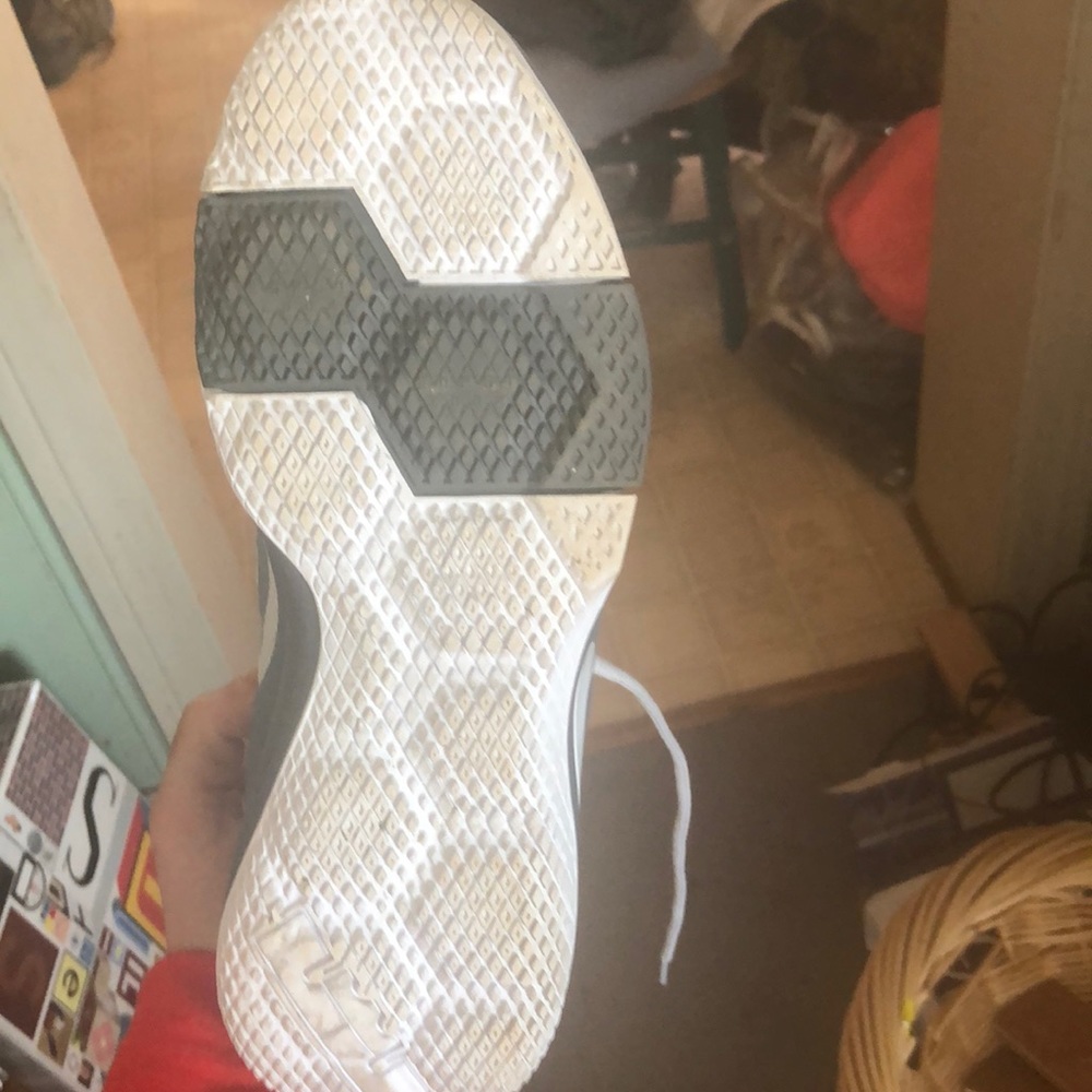 Lebrons - Picture 3 of 3